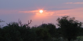 Kruger National Park Sunset Drive